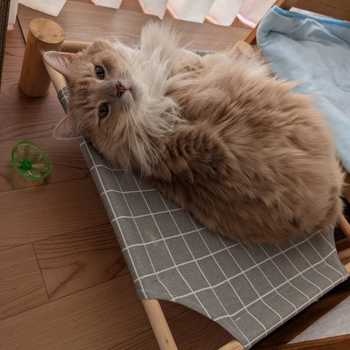 1764f4eb 97da 4a41 9d8f 9dac9b776106 1727748948681