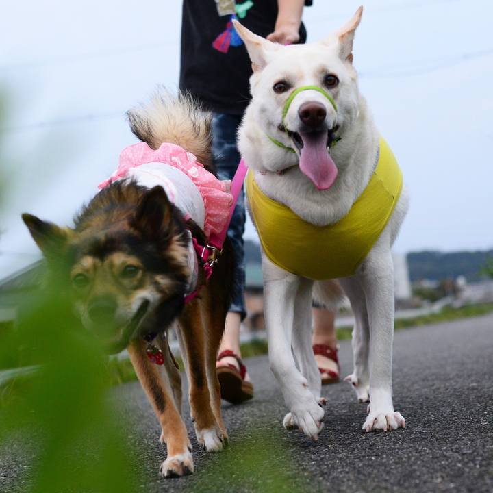 176525f6 5d5b 4510 a285 a6467e6a3eee 1536231551122