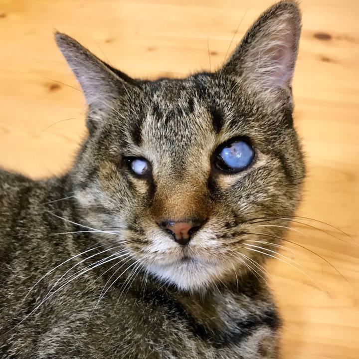 17655b65 af99 4dba ab6f 73975689c917 1562310775265