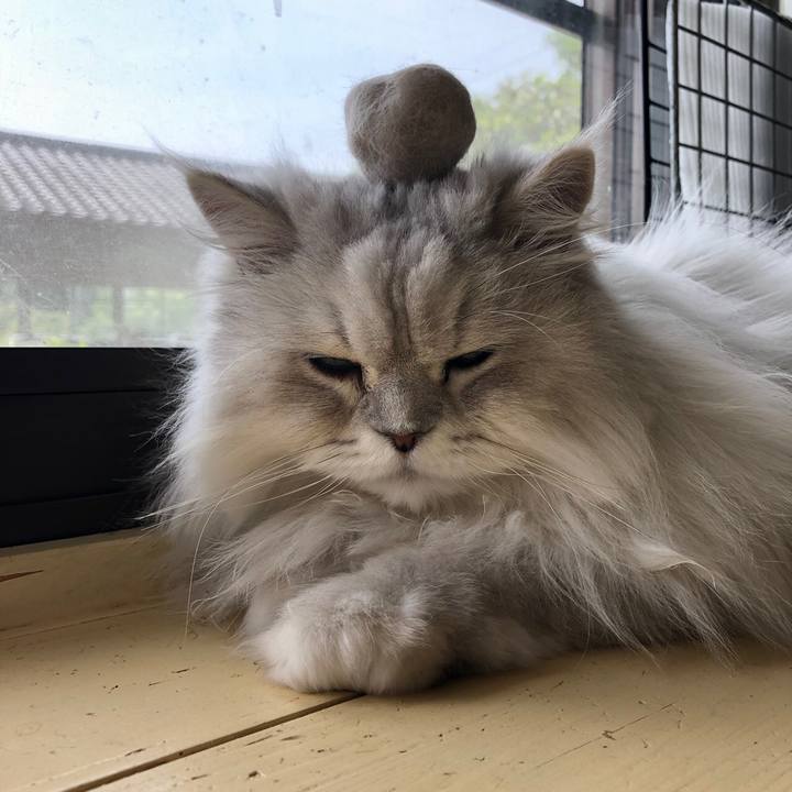 17656f96 3604 4e74 813a aec001137125 1591493152853