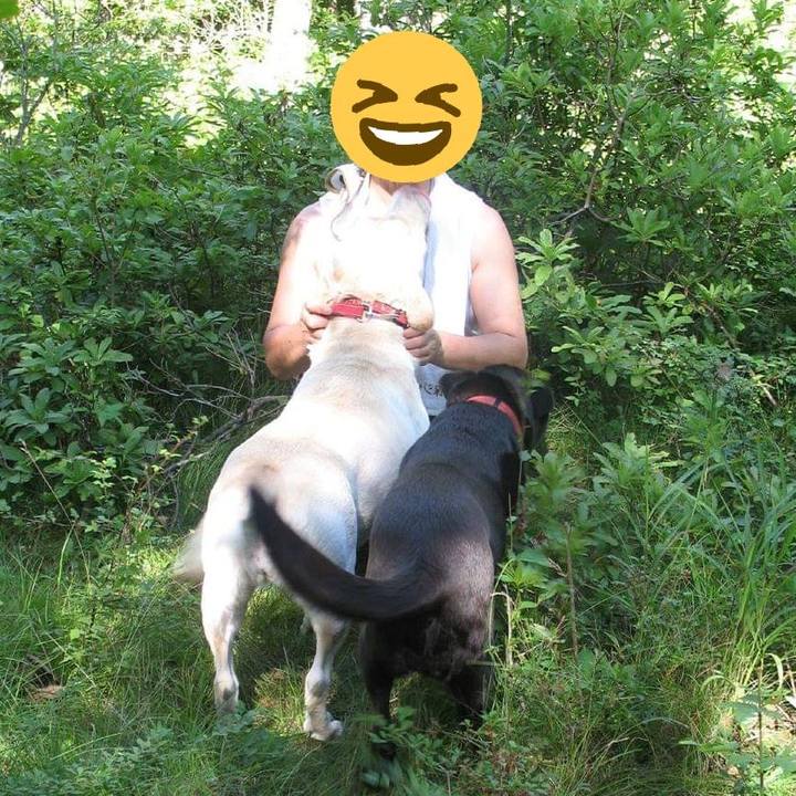 17659bf3 4b1a 4de5 8a47 79f91c9e1af8 1540466184466