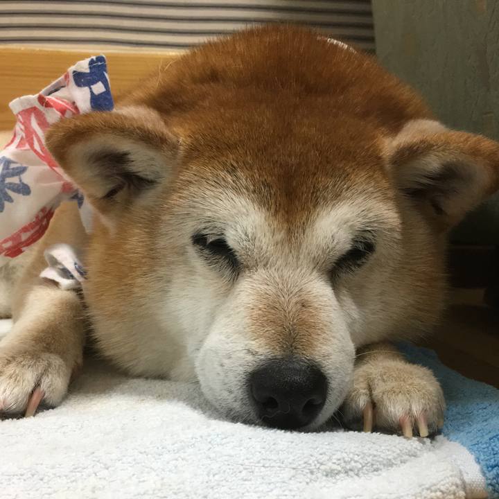 1765b220 5ecf 43c1 aabb 5c7a60bd1179 1530446166696