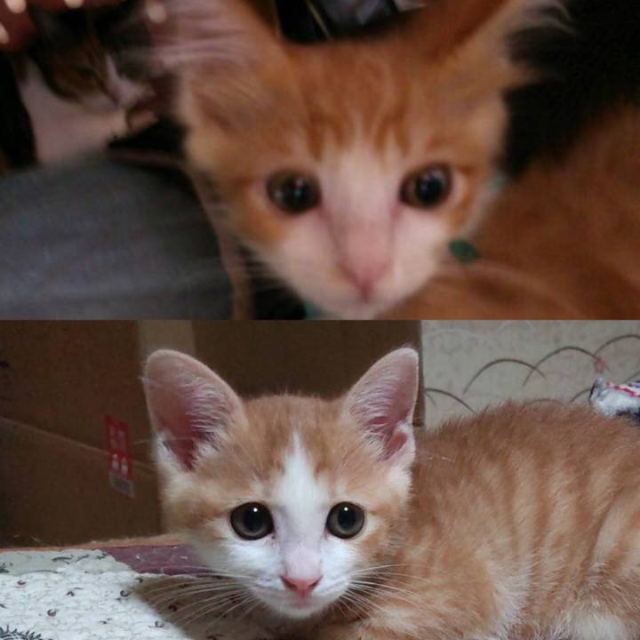 1765c565 3623 4c85 8ac9 0a91b863dc15 1629722685508