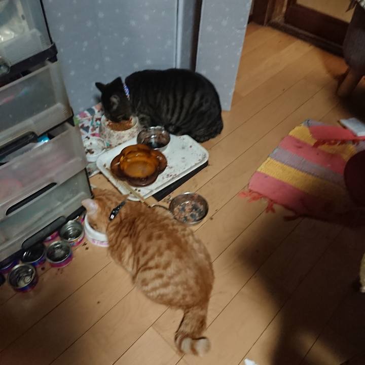 1765e2c0 b69e 44b9 a1c5 d1b34da95be5 1640778993544