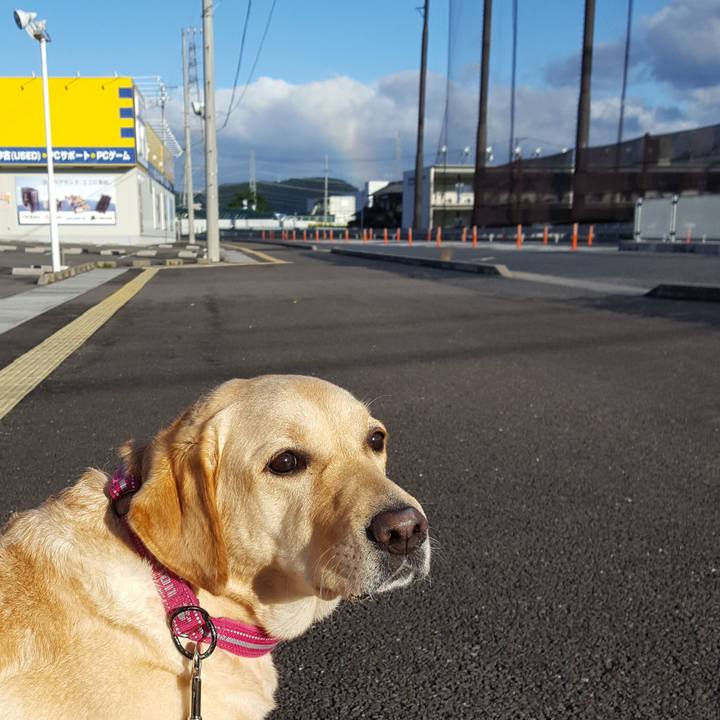 1765f139 7c5e 4625 a50f 0dbd2c2ddb6b 1508718520874