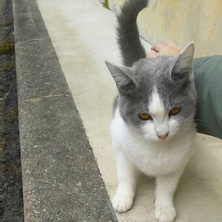 1766083c 15c9 4de9 8dce 0c6186f961c7 1511936028111