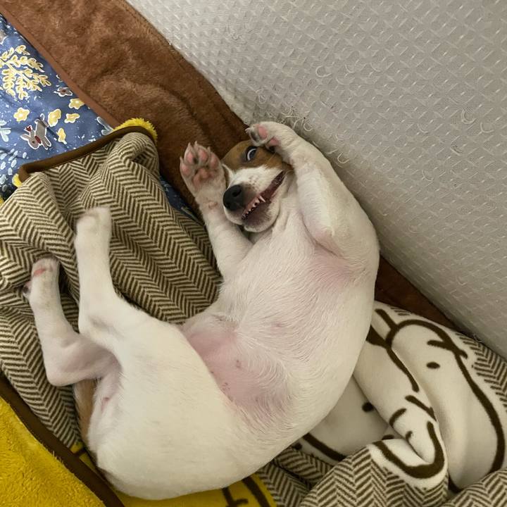 176613b1 a620 40d7 86cd e18581b75108 1697022755980