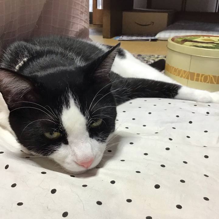 17661b95 2799 474e a885 0804af464f9c 1654673473673