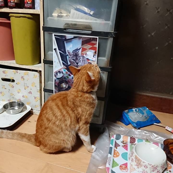 176665a6 bc47 4f6e b2dd 7a78921da063 1600114394348