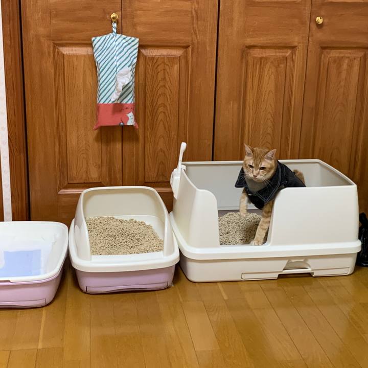 17668201 798a 4160 a0c4 40573bf4d433 1647694030113