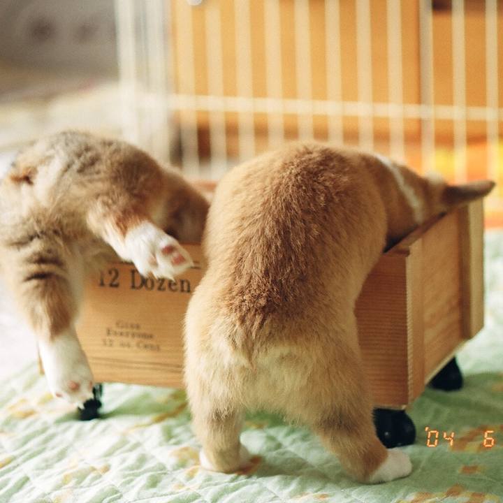 1766a485 abd5 45a1 8772 8371d255ec5c 1765341183331