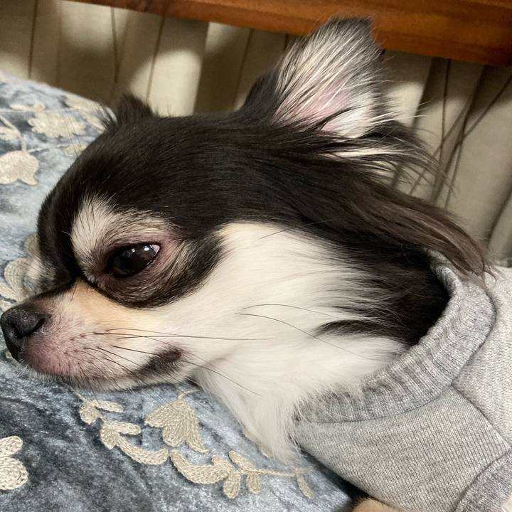 1766def6 61a2 47f6 aa45 54bdbe50b3fb 1638623697634