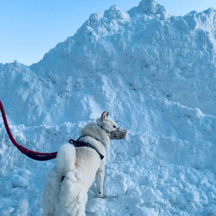 17670c6c 9b40 4d7b 9e5a bd9372b8011b 1736982031486