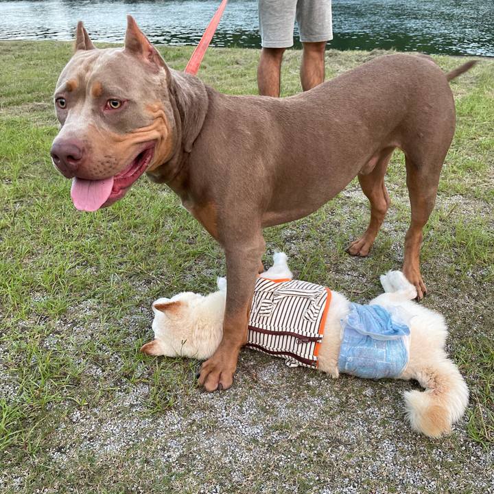 176717f8 0ffb 4261 847b fb20db745476 1658670768287