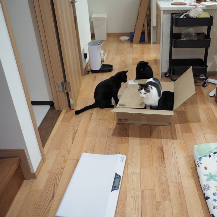 17673877 0785 49bb 9b2b a3583c9061d7 1535287601958