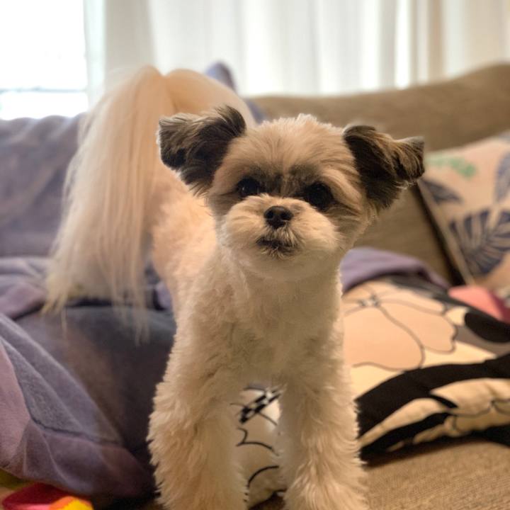 17673c6d eeb9 4ec9 8710 50fca0d073e9 1579312810626