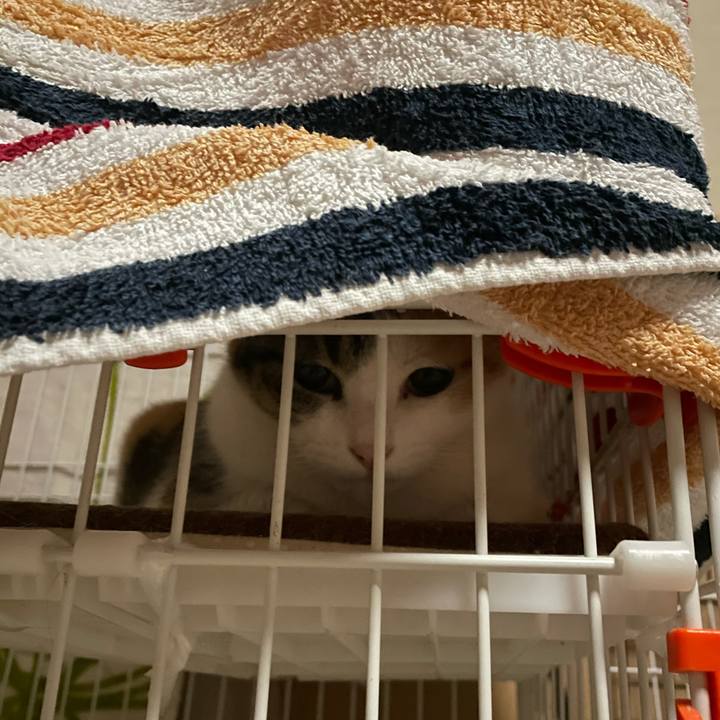 176754a9 7663 4ee6 9a02 e1b94f06d397 1619431750883