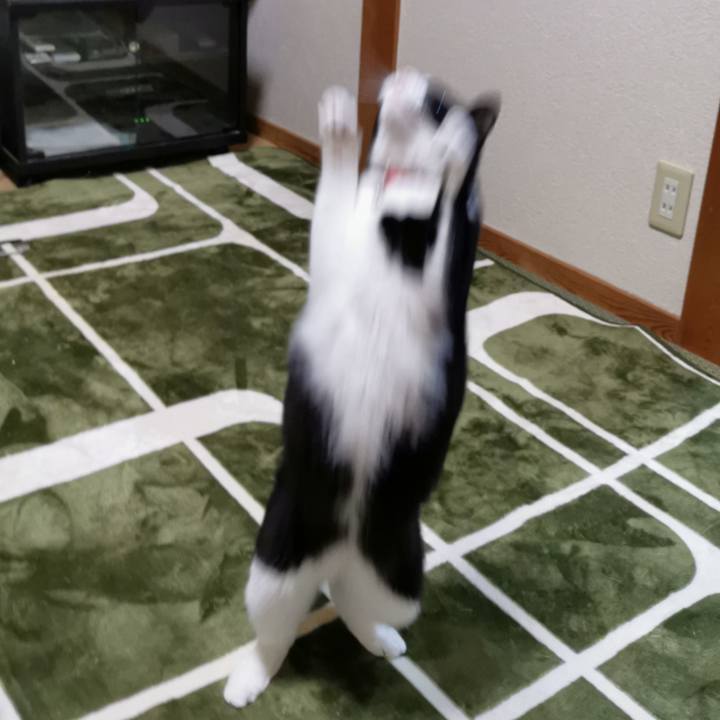 17676972 2ecb 4246 9ea4 5470a4c0ae95 1620915522319