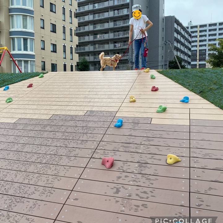 1767939d 8f77 4ab4 a6e7 68de5c18e97b 1691969088829