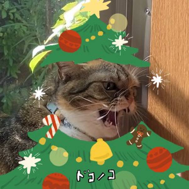 176799eb 6cbe 4e95 8070 707888537812 1761136105771