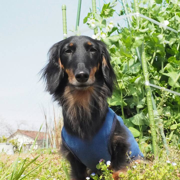 1767f72a efb6 456f 88e9 6a82d4956a54 1587014038397