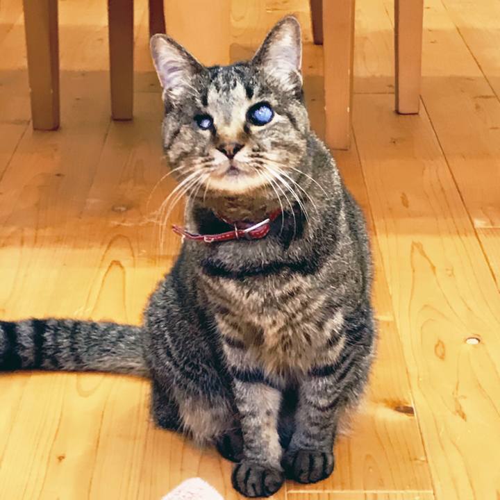 17680481 6130 4939 81e1 ba82e7521bad 1527156358160