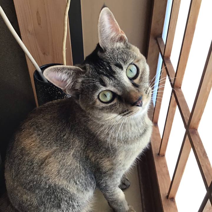 1768093f 16ee 4b34 b368 14e088569734 1579501827458