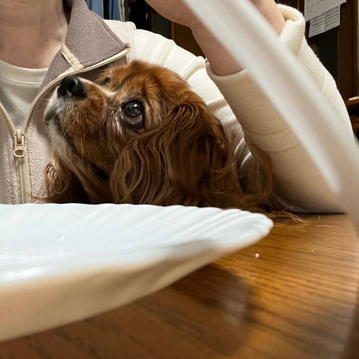 17683c4f 9689 4019 aadc 1a2e6bfe9f9f 1681511838899