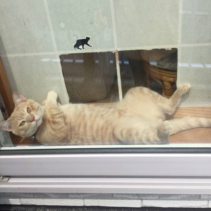 17684bec c77b 40d5 8f10 cf8984e641ca 1558789414714