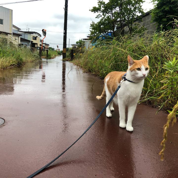 1768562a 5a12 4490 9840 72a449cc8fdf 1559953082147