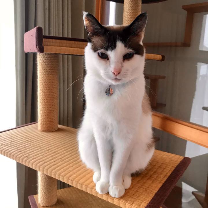 17685df3 b9f9 4350 b69d b1b3a0a232a9 1622620212699