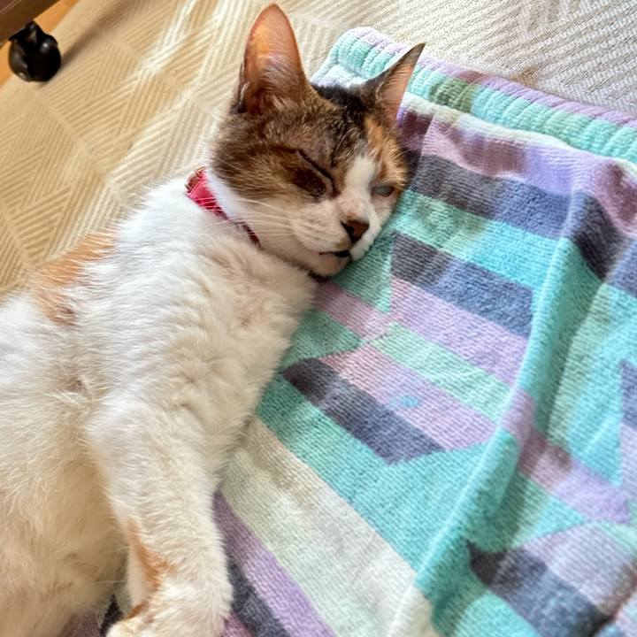 17686409 655a 42aa ab58 714fca113990 1698752297102