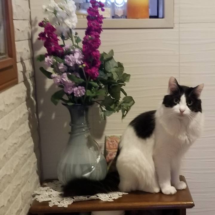 17687017 e572 42b1 b618 fc1d561c0ab0 1587188789832