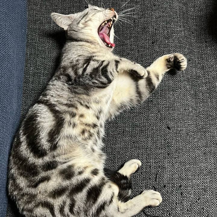 17688741 566d 451c 9f87 5ce4cf7320f5 1758622145929