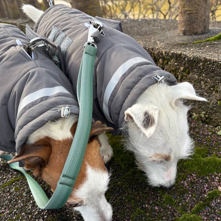 17688b0a 21d7 49b5 83a4 514bb1ed3cc6 1765509583745