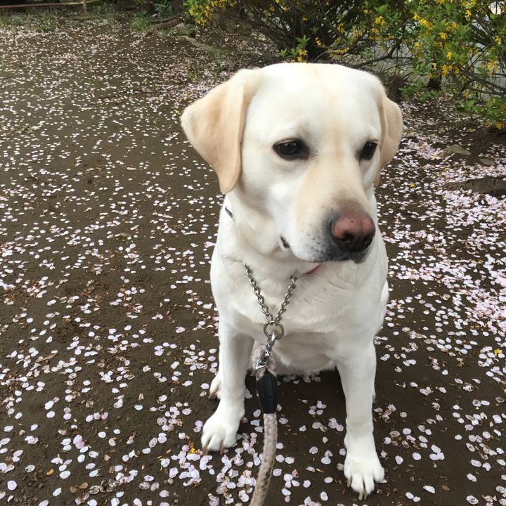 17689529 5d5e 4b18 a917 bad6eea54d5c 1577680278944