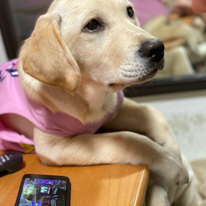 1768c1f3 0c1c 4378 83e2 6fa2a43fa11e 1616909753415