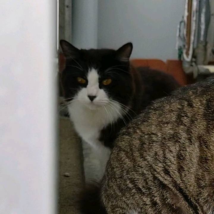 1768d545 e3c1 4381 93eb 84fe7924e716 1590016622129