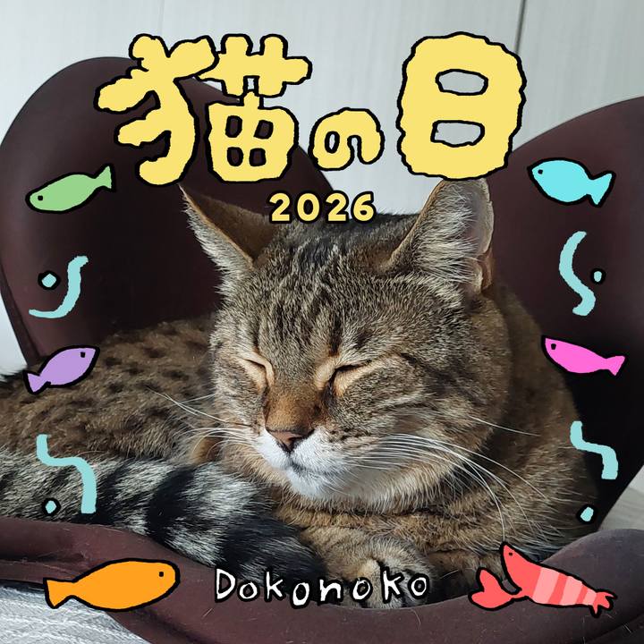 1768e141 a6eb 4bbc 979c 8100f5ef95e6 1771743113768