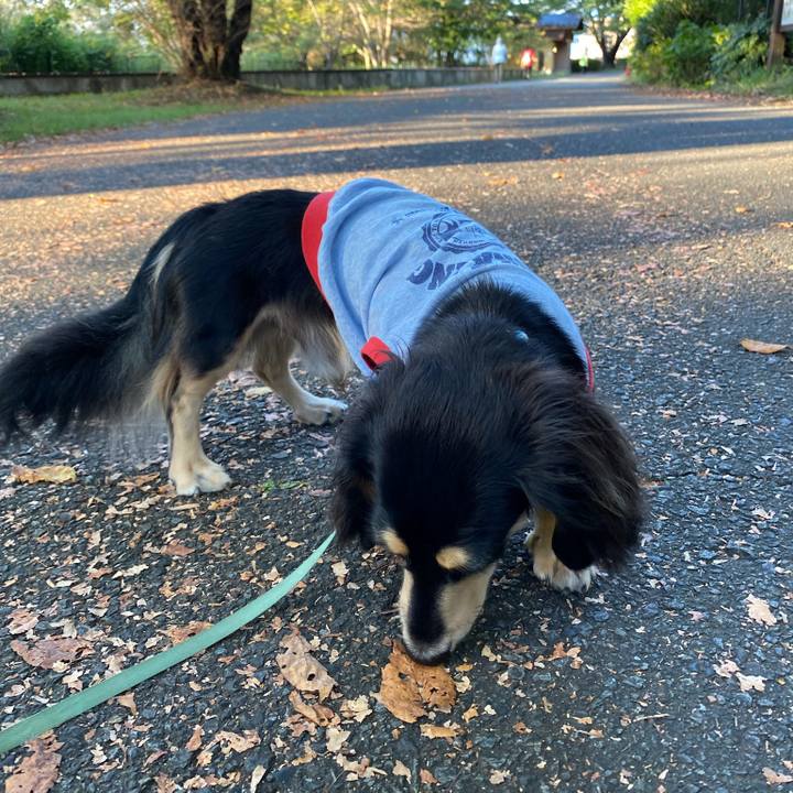 1768e920 b8df 4f23 8e1e 06d3754564cf 1696300240419