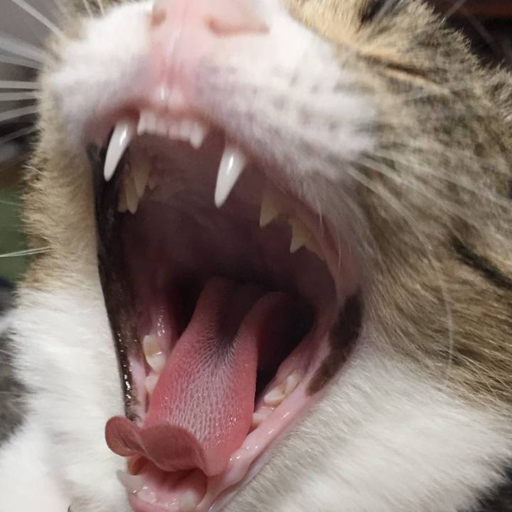 17693da9 96bc 42c6 befe 19dd6b924410 1659143232483