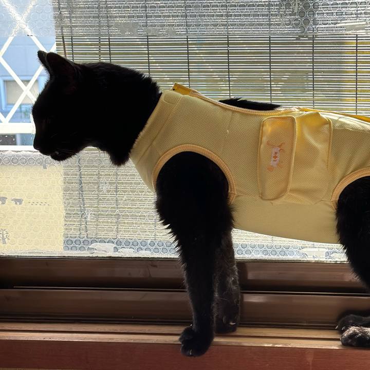 17694f6b c163 4eb8 b39b 22e83a437da1 1722383839923