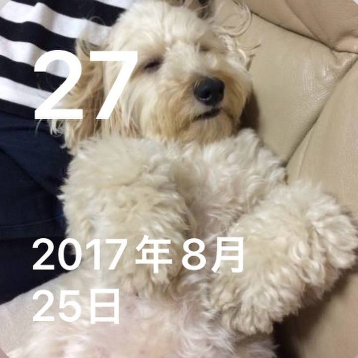 176957c5 7b47 41db bf0b b32ffd21bc31 1724725668697