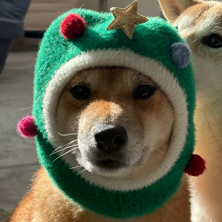 17698c7c ac88 43cd b913 498e2fe32c03 1764391388579