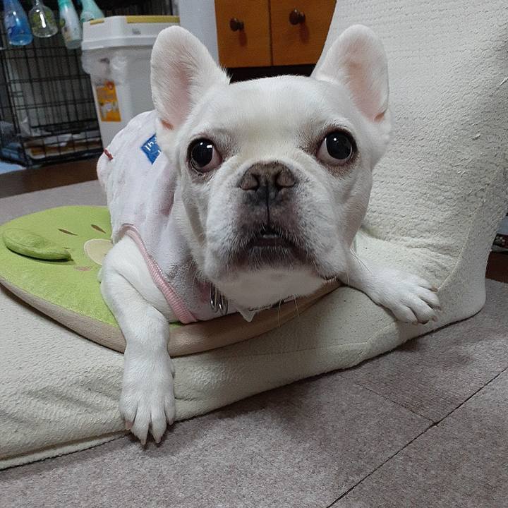 1769c49e d44d 4584 bbb9 a40266cf58bf 1665134330813