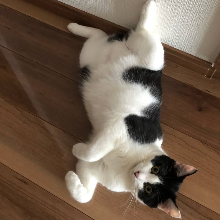 1769e90c ac57 4584 bdde 7d514bd31153 1629953183239