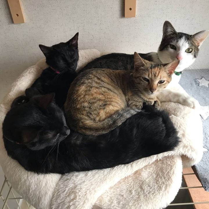 176a0b0c 73a0 4203 95a0 ef7b53a1c376 1550358864934