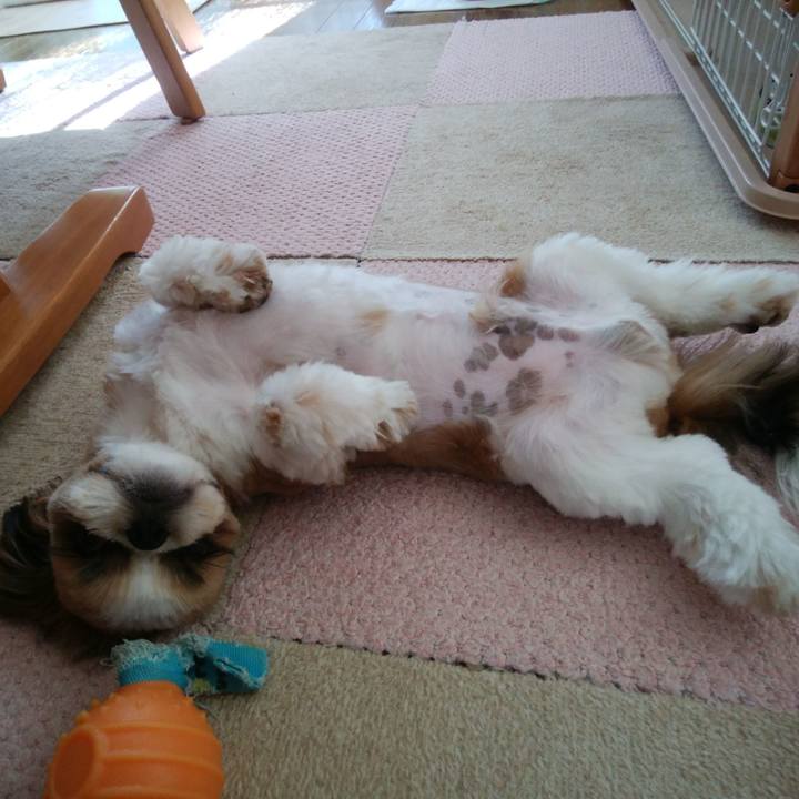 176a1c58 8e5e 46ef b364 1b903f8687d4 1540352346014