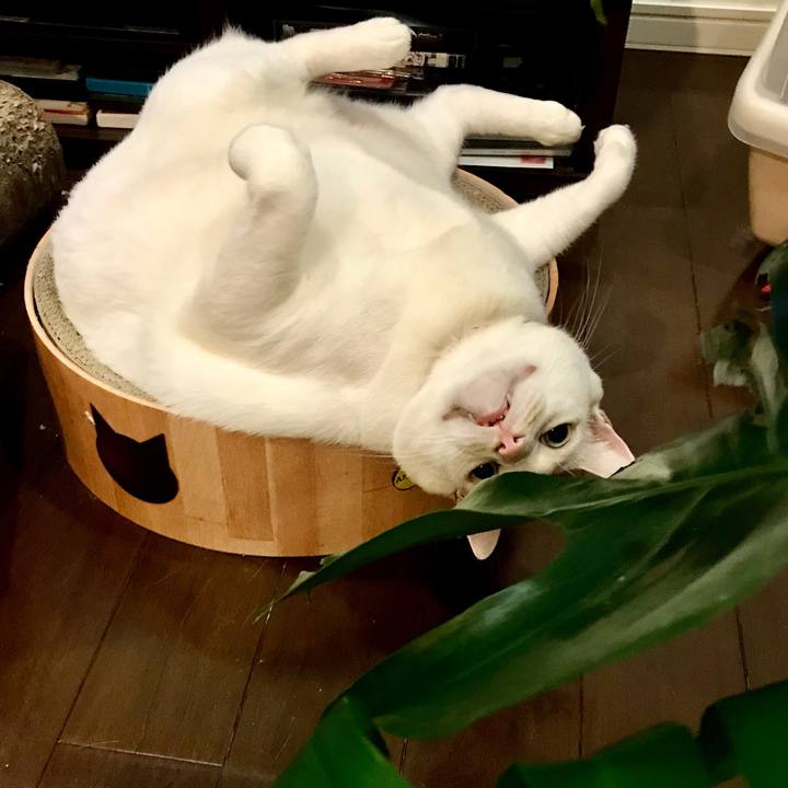 176a552f 974b 480d 8209 e3b5ddc69686 1602675732000