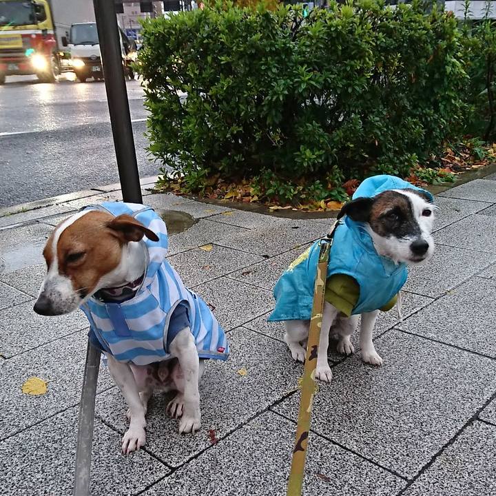 176a9d5a b024 45e5 aad2 db494f63f619 1544047707399